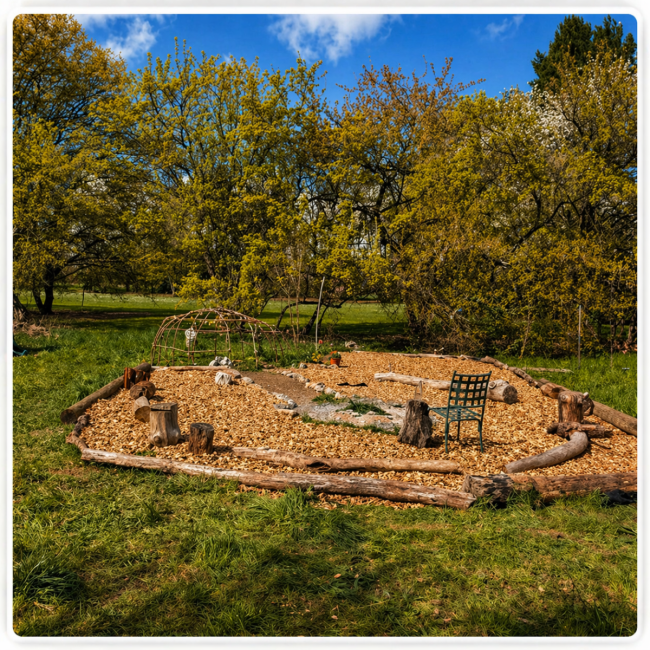 Contribution du coeur