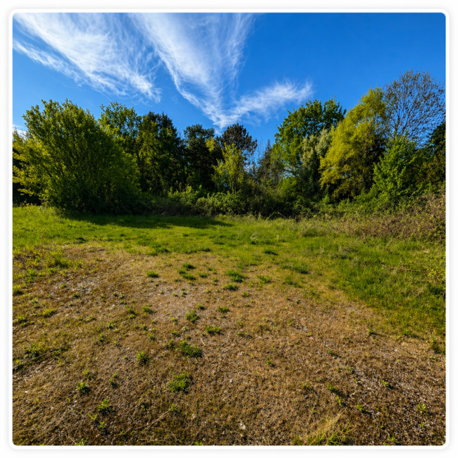 Contribution du coeur